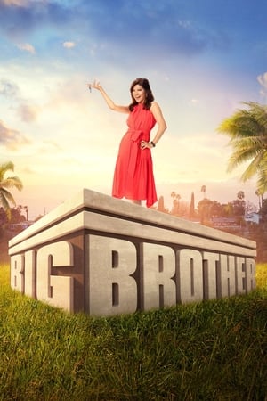 Big Brother Season 11
