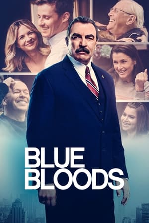 Blue Bloods Season 11