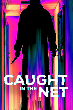 Caught in the Net Season 2