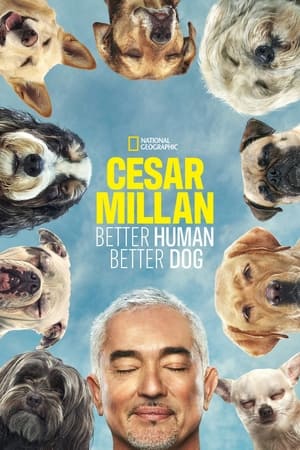 Cesar Millan: Better Human, Better Dog Season 3