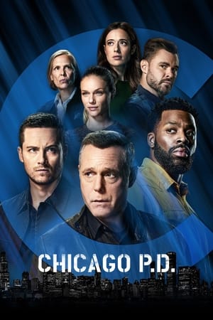 Chicago P.D. Season 3