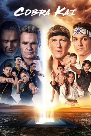 Cobra Kai Season 1