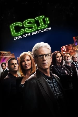 CSI: Crime Scene Investigation Season 10