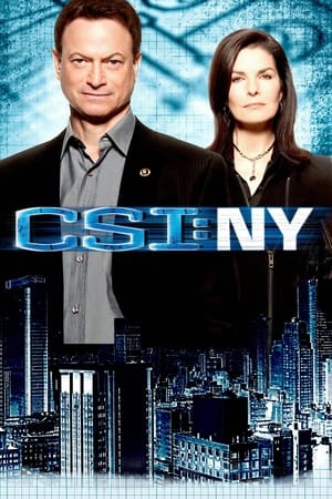 CSI: NY Season 4