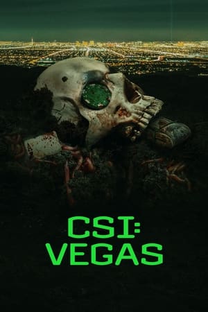 CSI: Vegas Season 2