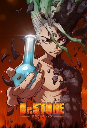 Dr. Stone Season 1