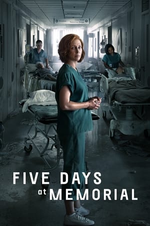 Five Days at Memorial Season 1