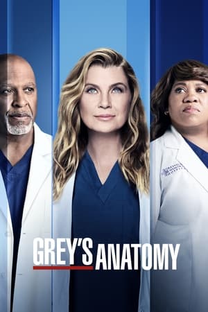 Grey's Anatomy Season 10