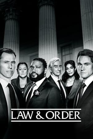 Law & Order Season 13