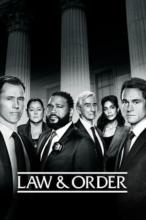 Law & Order Season 16