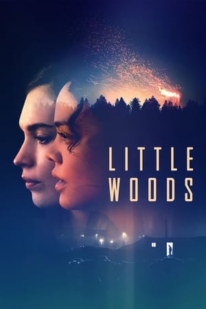 Little Woods