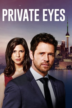 Private Eyes Season 1