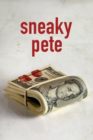 Sneaky Pete Season 3