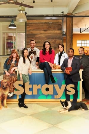 Strays Season 1