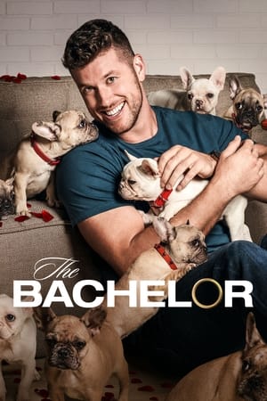 The Bachelor Season 17