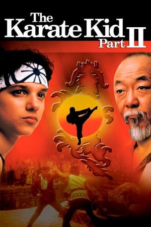 The Karate Kid Part 2