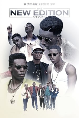 The New Edition Story Season 1