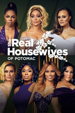 The Real Housewives of Potomac Season 1