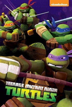 Teenage Mutant Ninja Turtles Season 3