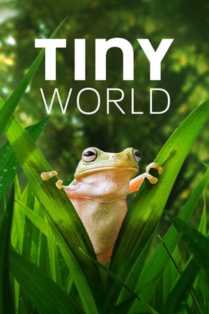 Tiny World Season 2