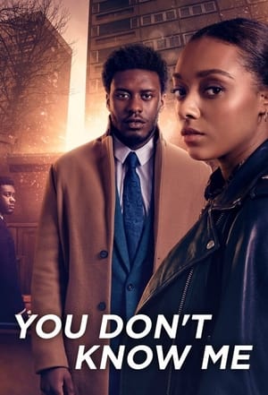 You Don't Know Me Season 1